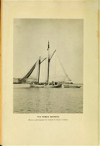 n7_w1150