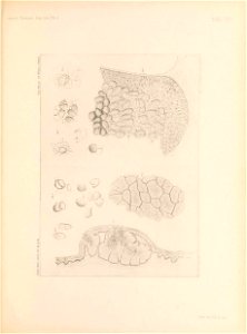 n138_w1150