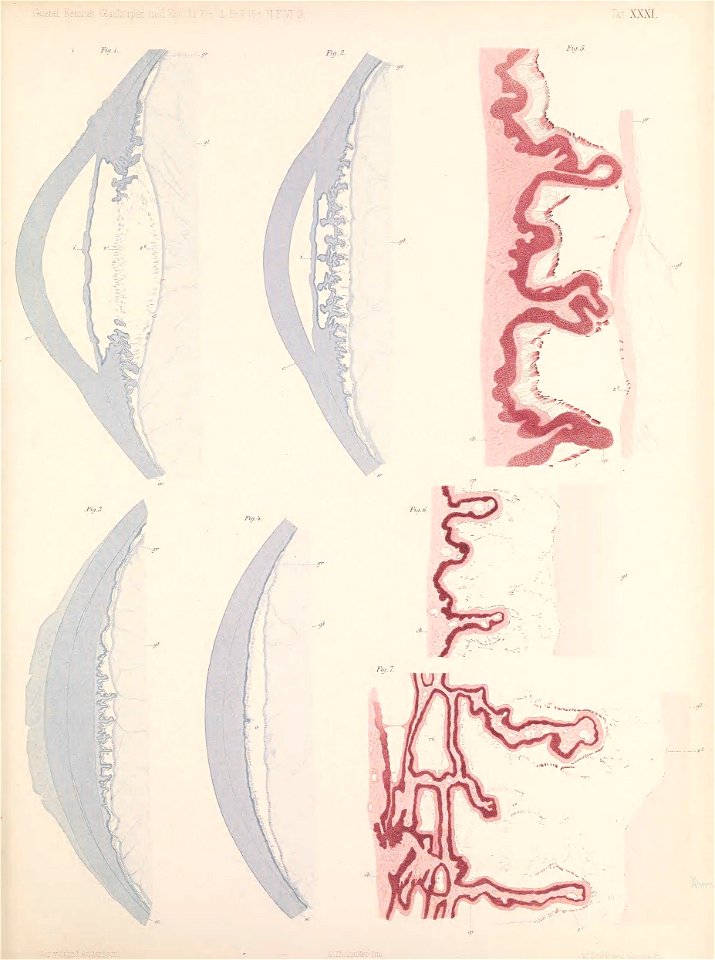 n222_w1150