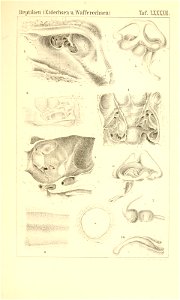 n1140_w1150
