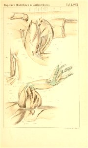 n1080_w1150