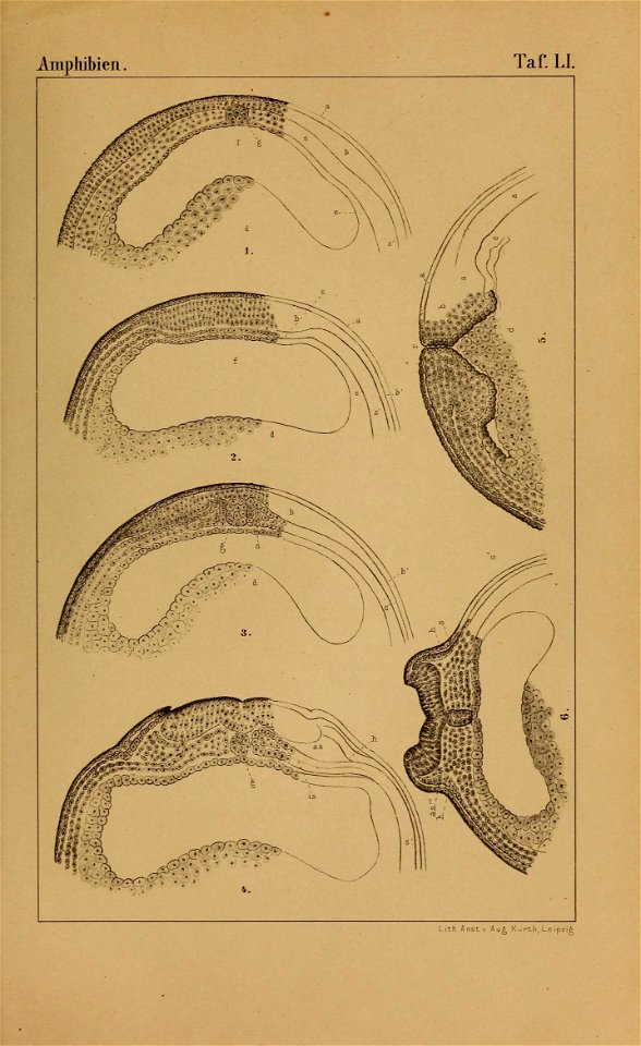 n958_w1150