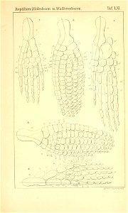 n1016_w1150