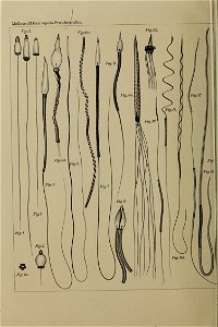 n1391_w1150