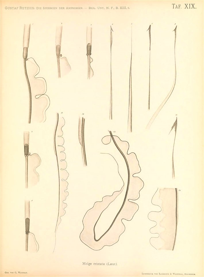 n222_w1150