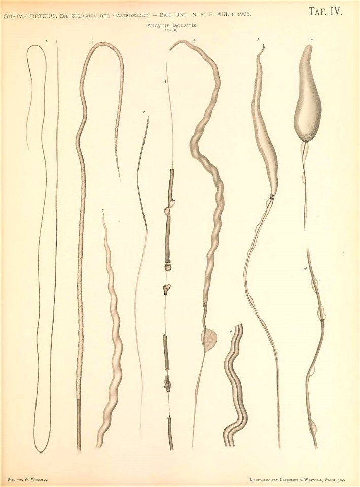 n190_w1150