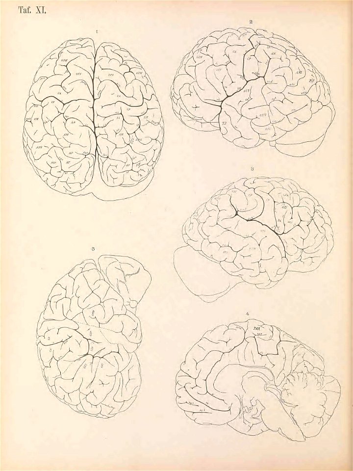 n169_w1150