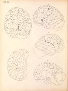 n169_w1150