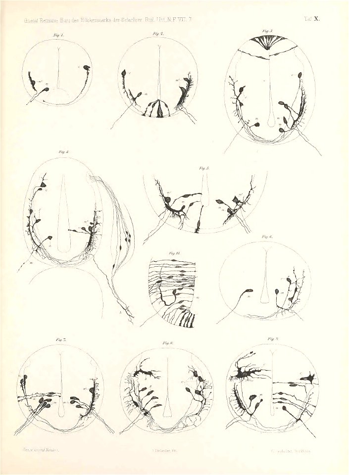 n122_w1150