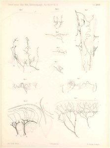 n206_w1150