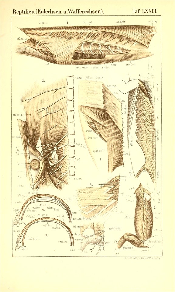 n1064_w1150