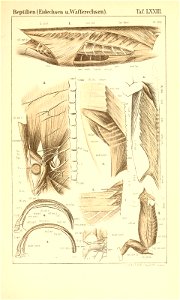 n1064_w1150