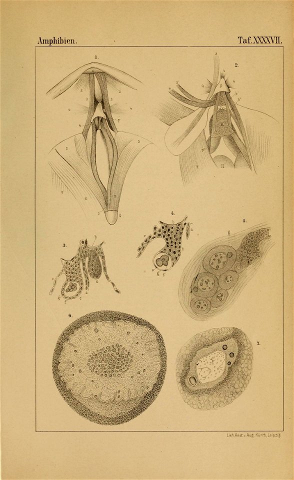 n942_w1150