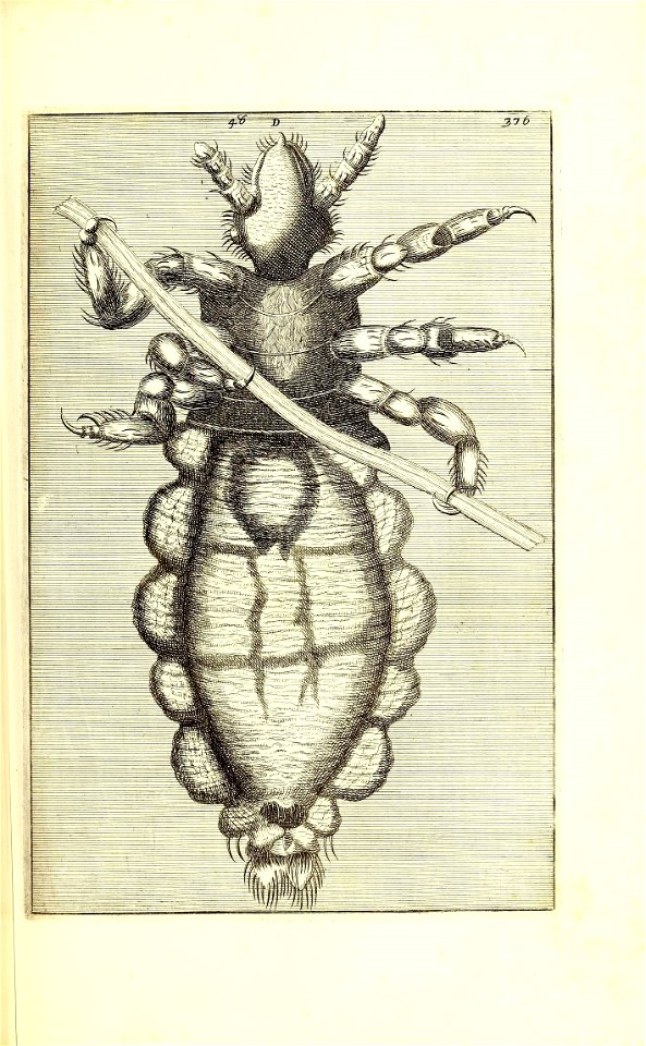 n506_w1150