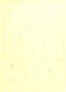 n56_w1150