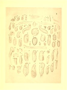n116_w1150