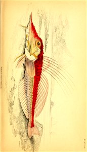 n254_w1150