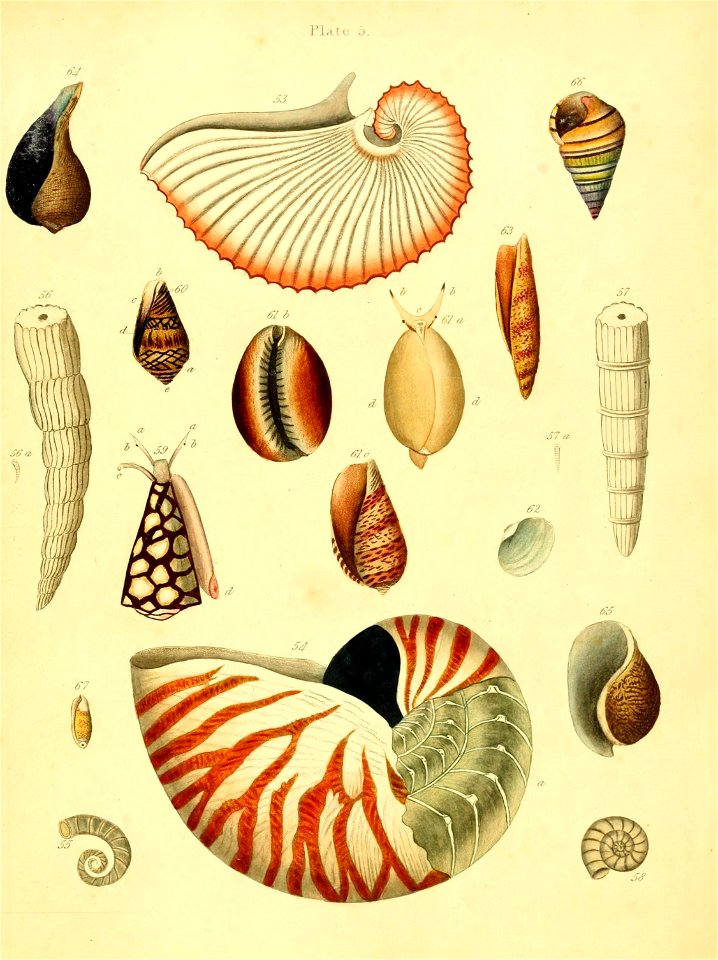 n186_w1150