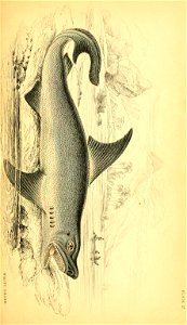 n282_w1150