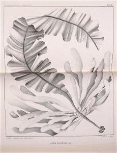 n558_w1150