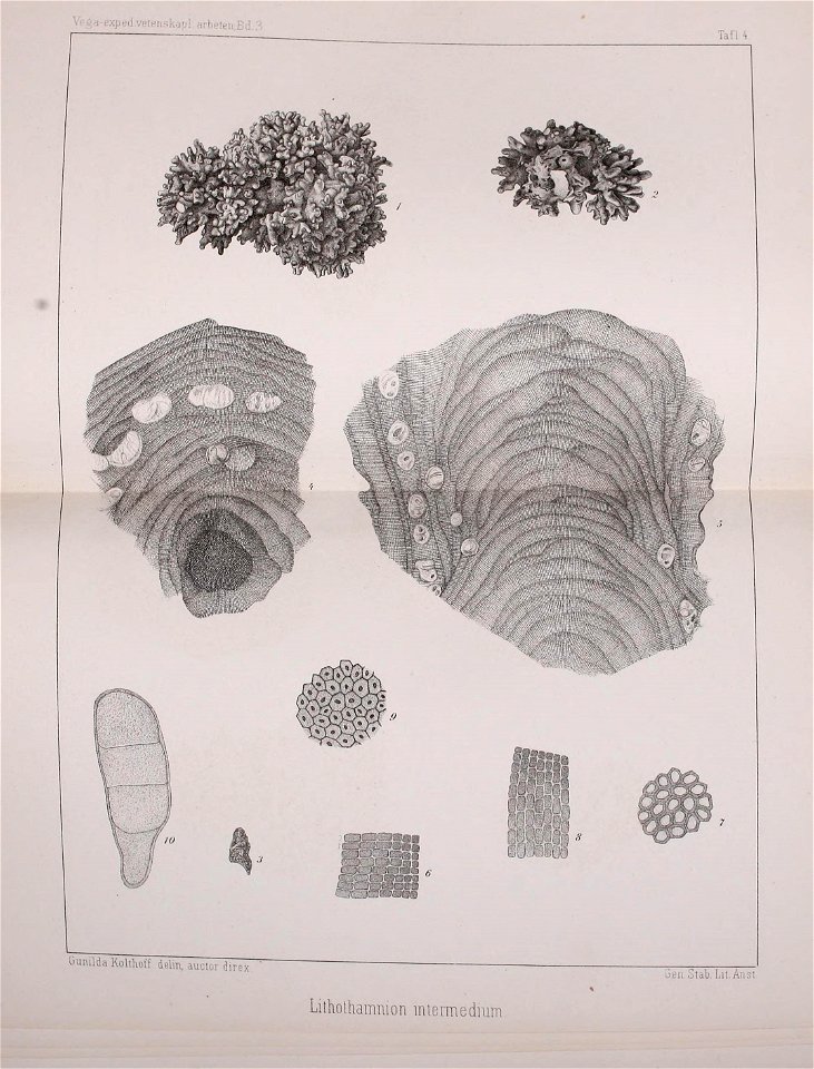 n462_w1150