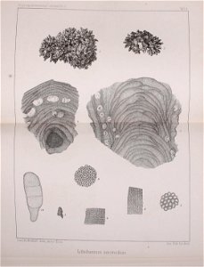 n462_w1150