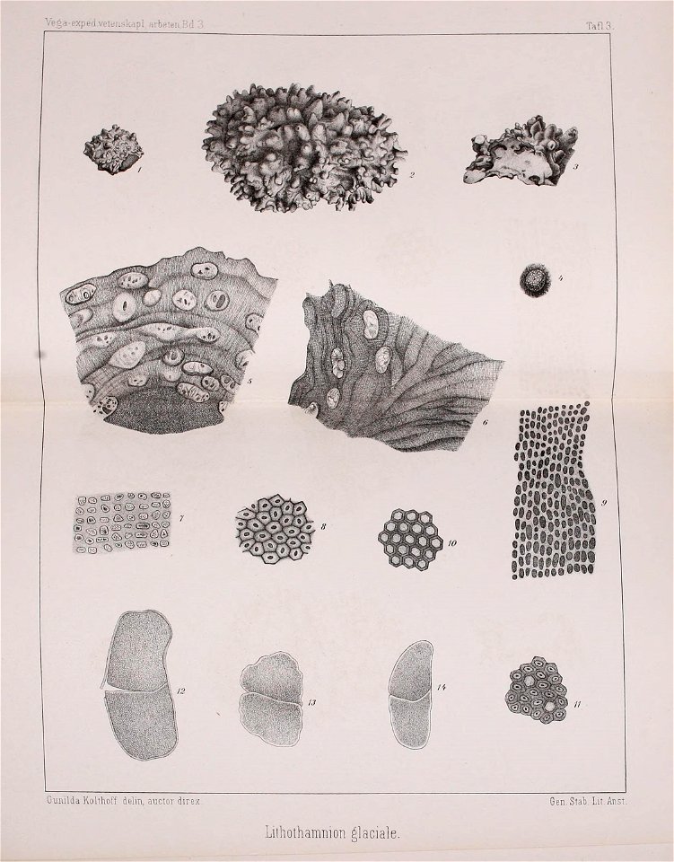n456_w1150