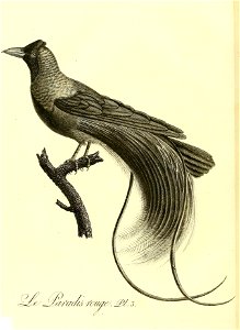 n375_w1150