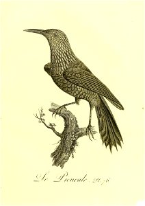 n308_w1150