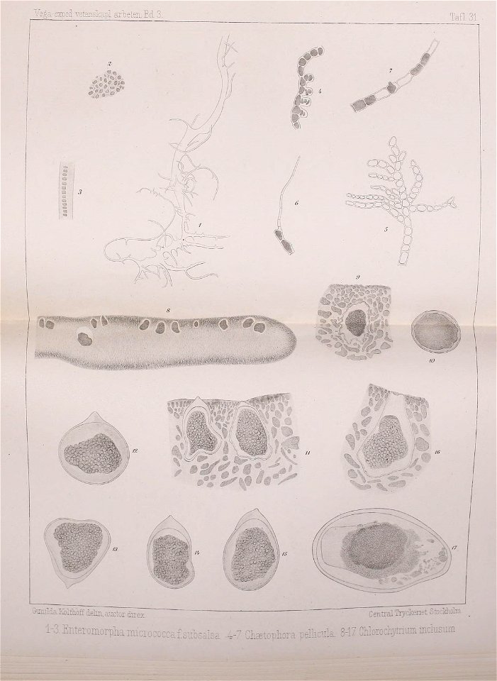 n624_w1150