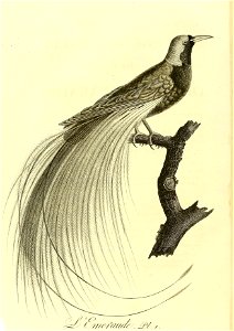 n365_w1150