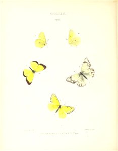n107_w1150