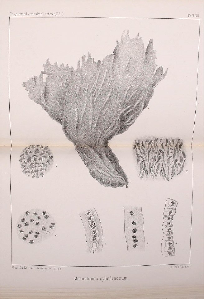 n618_w1150