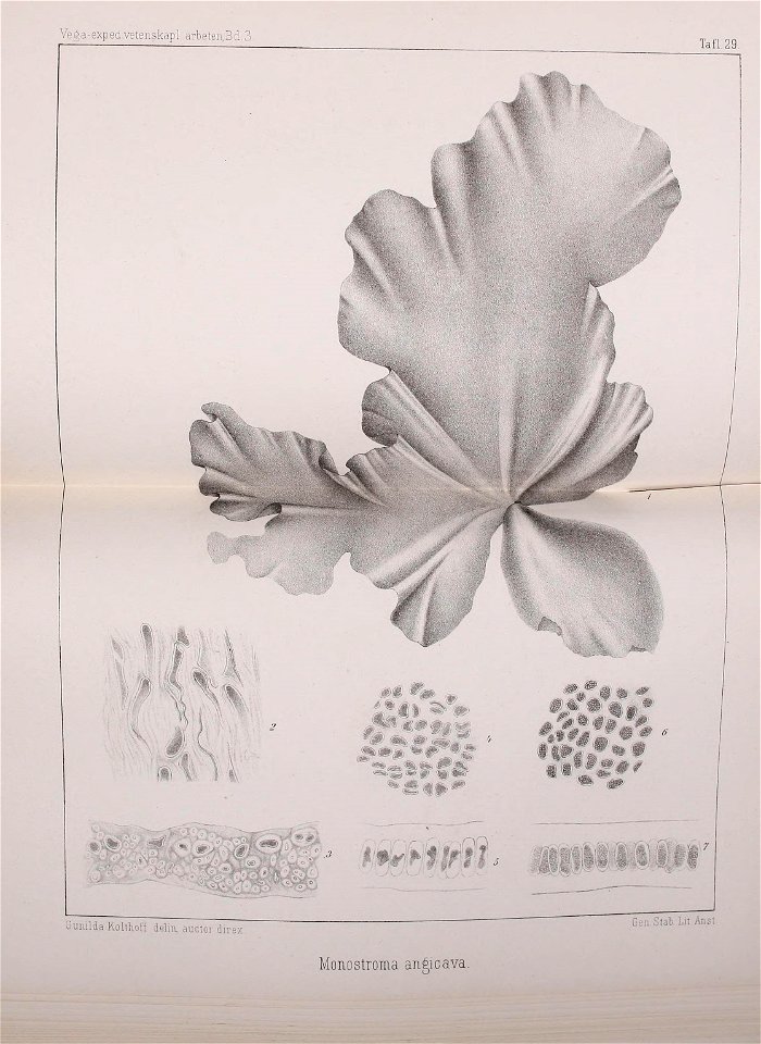 n612_w1150