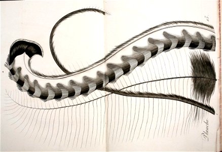 n434_w1150