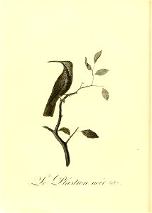 n59_w1150