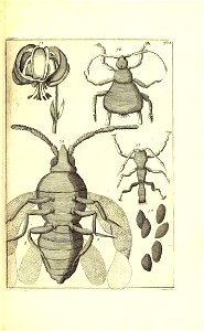 n518_w1150