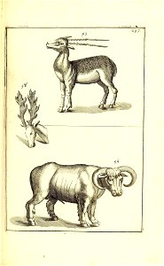 n398_w1150