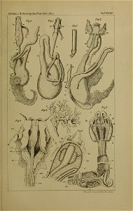 n1274_w1150