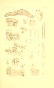 n524_w1150