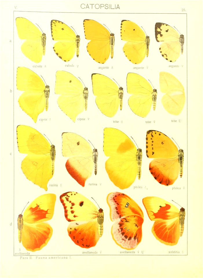 n58_w1150
