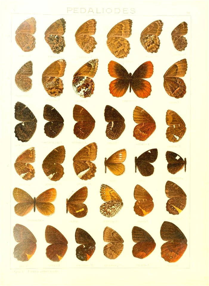 n116_w1150