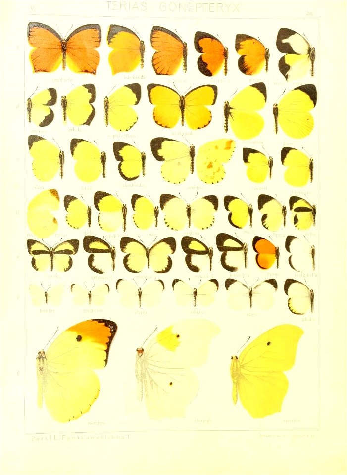 n56_w1150