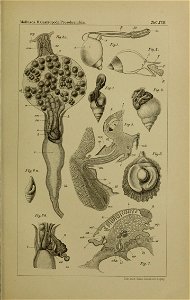n1206_w1150