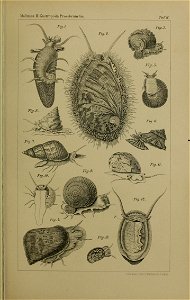 n1146_w1150