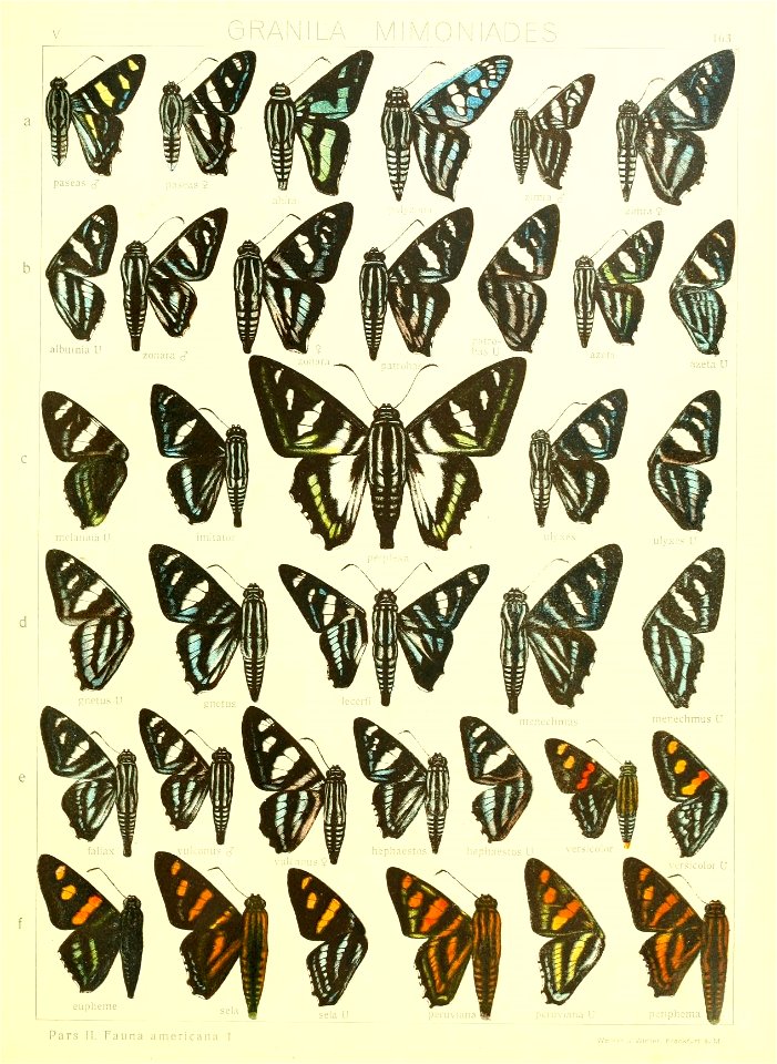 n352_w1150