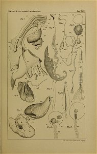 n1318_w1150