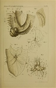 n1258_w1150