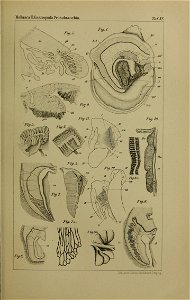 n1198_w1150