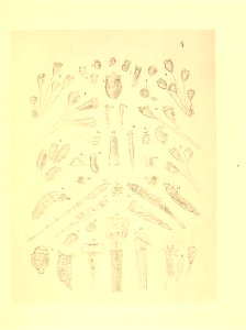 n118_w1150